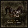Jethro Tull announce 24th studio album ‘Curious Ruminant’; launch video ...